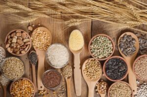 Largest pulses exporter in the world 
